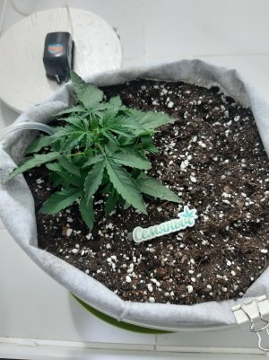 20230416_081949.jpg 20230416_081949.jpg