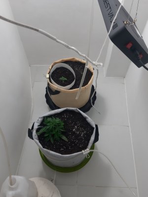 20230416_081807.jpg 20230416_081807.jpg