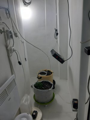 20230416_081750.jpg 20230416_081750.jpg