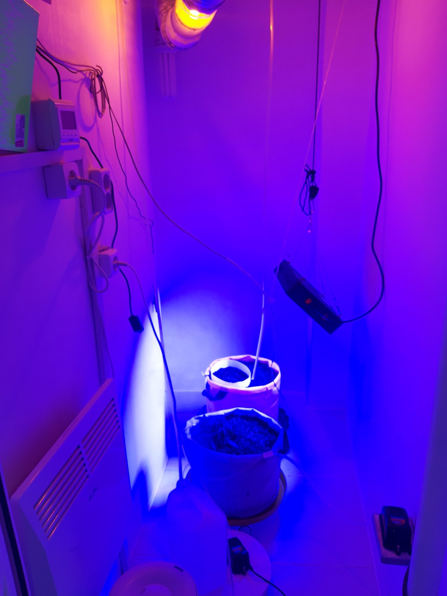 20230416_081725.jpg 20230416_081725.jpg