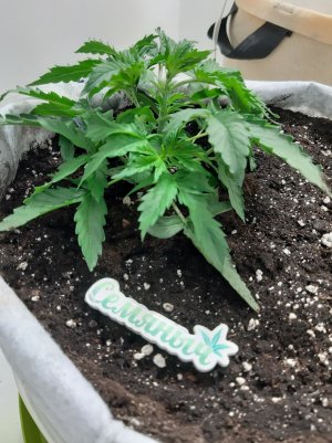 20230416_160411.jpg 20230416_160411.jpg