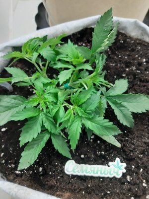 20230416_160337.jpg 20230416_160337.jpg