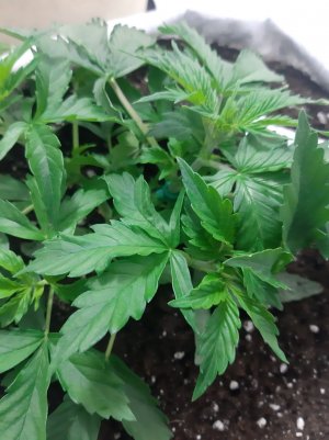 20230416_162605.jpg 20230416_162605.jpg