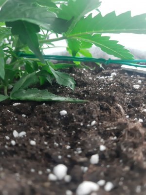 20230416_165950.jpg 20230416_165950.jpg