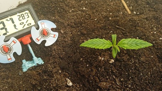 1635497847469..jpg 1635497847469..jpg