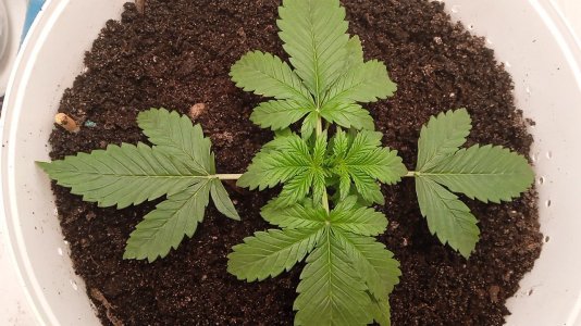 1636231098728..jpg 1636231098728..jpg