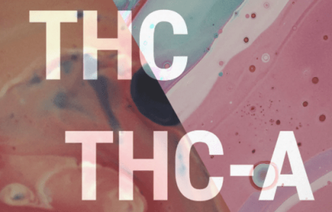 1637163338119.png 1637163338119.png