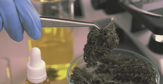 1637163711884.png 1637163711884.png