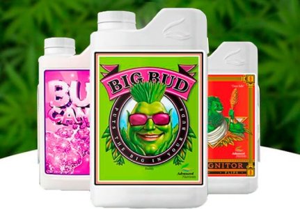 Стимуляторы цветения для конопли