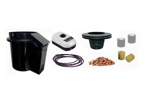 DWC гидропоника своими руками DWC гидропоника своими руками