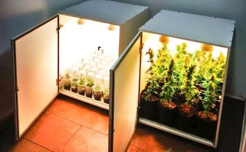 Стелс-боксы для конопли Стелс-боксы для конопли