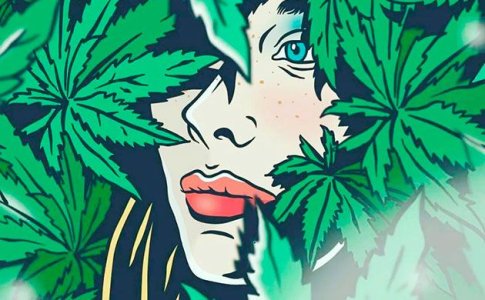 Скрытое выращивание конопли в аутдоре