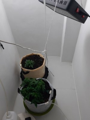 20230417_113825.jpg 20230417_113825.jpg