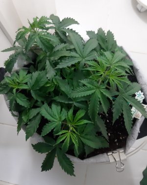 20230417_123349.jpg 20230417_123349.jpg