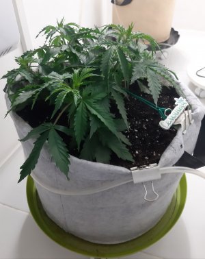 20230417_123426.jpg 20230417_123426.jpg