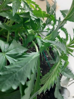 20230417_123257.jpg 20230417_123257.jpg