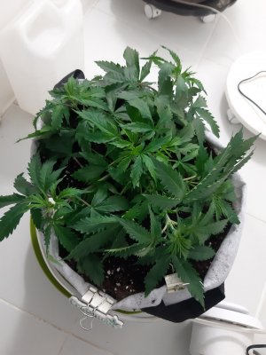 20230417_123129.jpg 20230417_123129.jpg