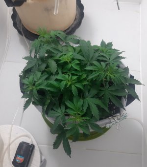 20230417_173030.jpg 20230417_173030.jpg