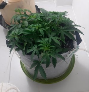 20230417_173051.jpg 20230417_173051.jpg