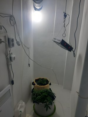 20230417_173218.jpg 20230417_173218.jpg