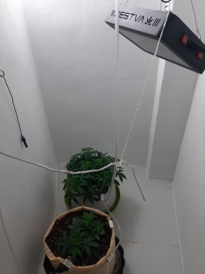 20230417_173955.jpg 20230417_173955.jpg