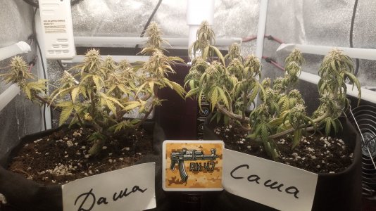 17.04.23 (2).jpg 17.04.23 (2).jpg