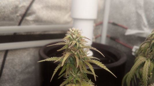 17.04.23 (3).jpg 17.04.23 (3).jpg