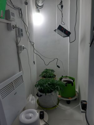 20230417_205223.jpg 20230417_205223.jpg