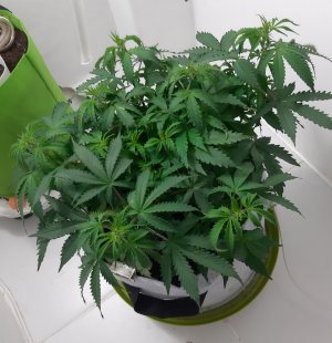 20230417_220341.jpg 20230417_220341.jpg