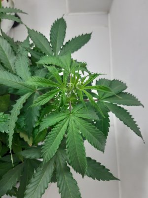 20230417_220305.jpg 20230417_220305.jpg