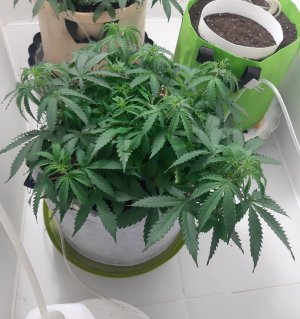 20230417_221943.jpg 20230417_221943.jpg