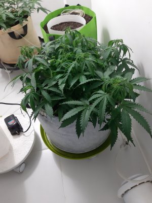 20230417_223058.jpg 20230417_223058.jpg