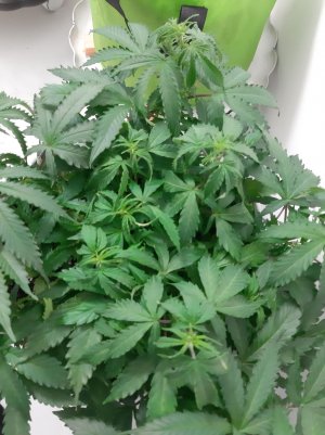 20230417_223031.jpg 20230417_223031.jpg