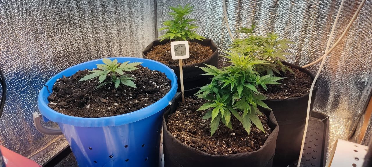 0c1587d8-52c1-47b5-8274-d852c24d0344.jpg 0c1587d8-52c1-47b5-8274-d852c24d0344.jpg