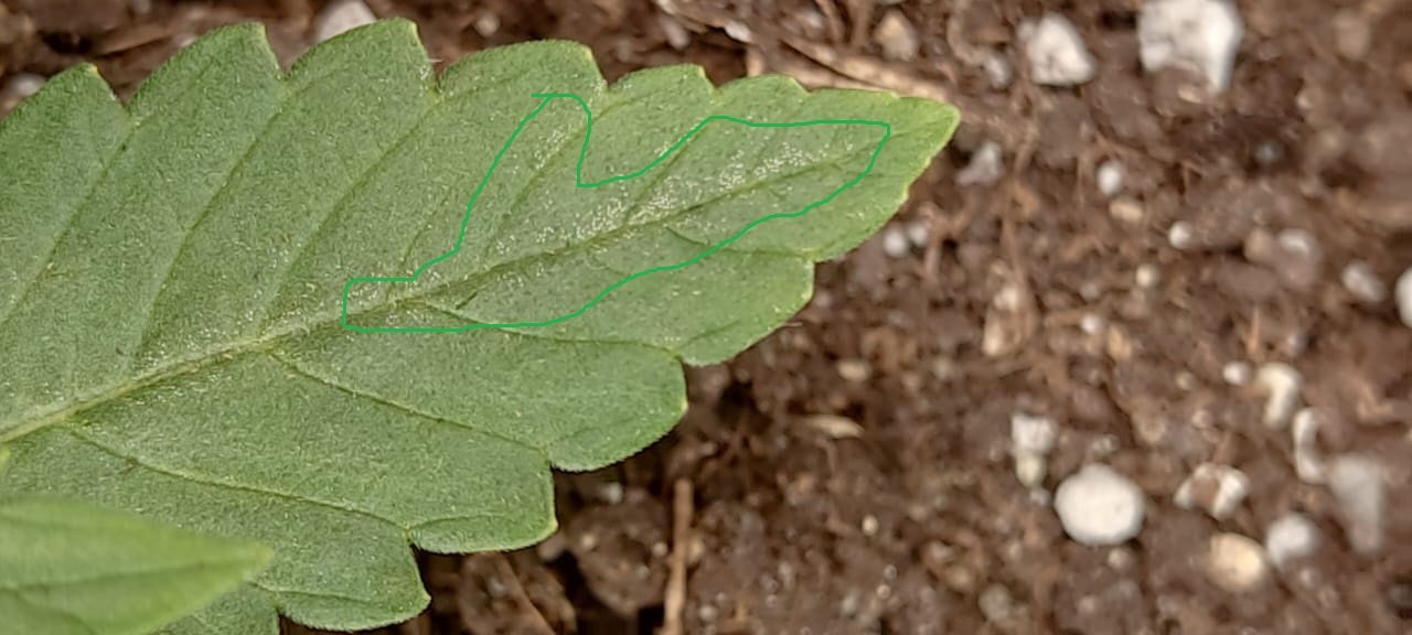 69ed15e1-629f-4838-86ce-6b65490833cb.jpg 69ed15e1-629f-4838-86ce-6b65490833cb.jpg