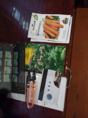 IMG_20230419_061603_5.jpg IMG_20230419_061603_5.jpg