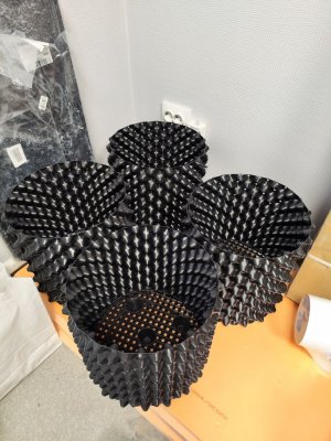 IMG_20230419_180654.jpg IMG_20230419_180654.jpg