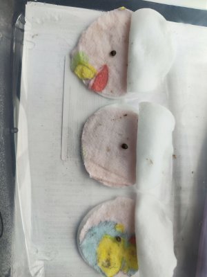 IMG_20230421_180615_1.jpg IMG_20230421_180615_1.jpg