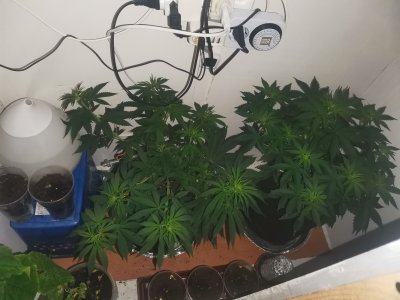 IMG_20230425_103359.jpg IMG_20230425_103359.jpg