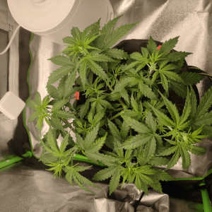 1682436828694.png 1682436828694.png