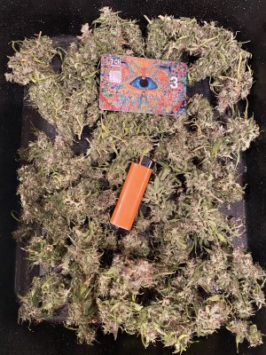 197CD31C-4660-468E-AF09-B8CC5EC1978C.jpeg 197CD31C-4660-468E-AF09-B8CC5EC1978C.jpeg