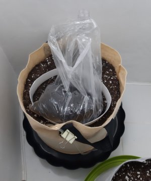 20230427_153041.jpg 20230427_153041.jpg