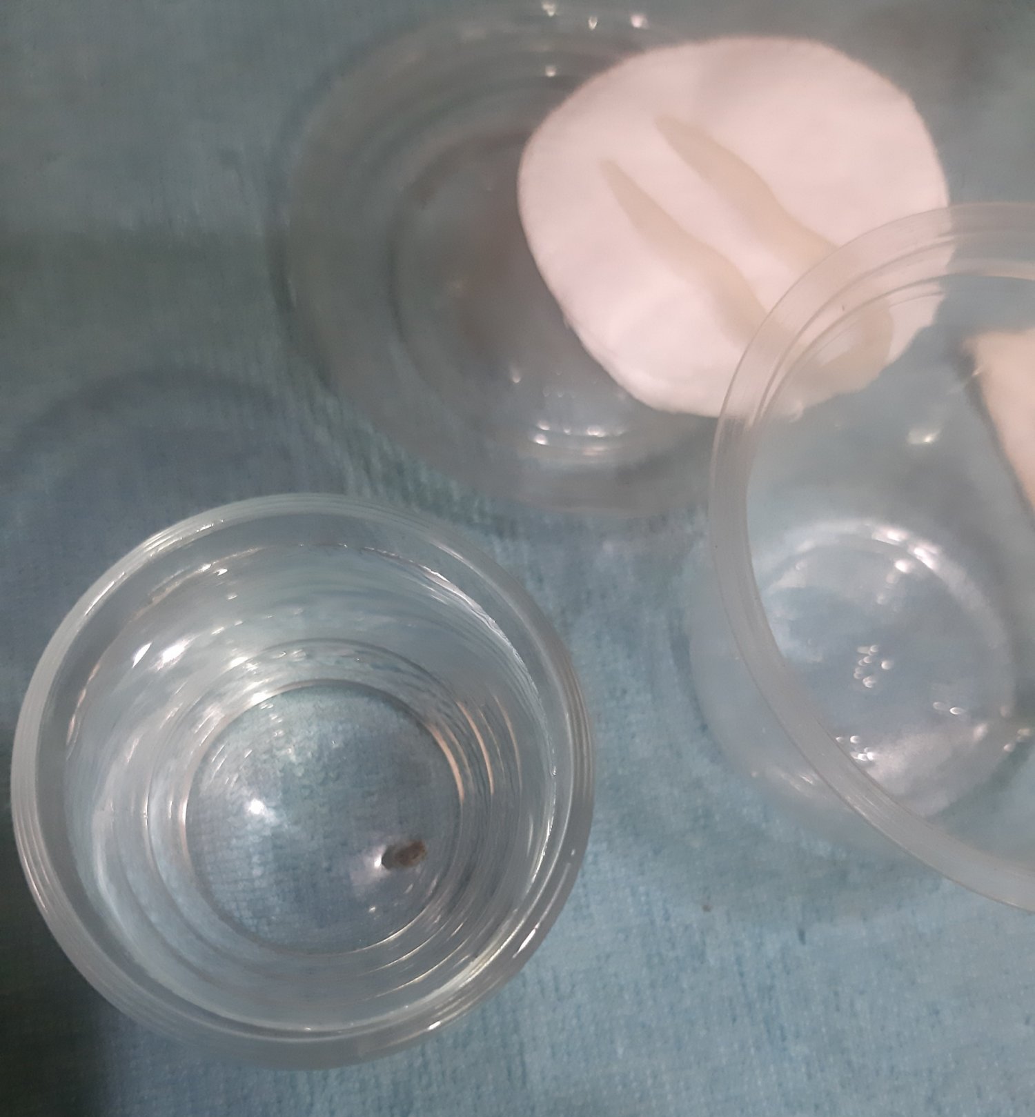 20230427_153707.jpg 20230427_153707.jpg