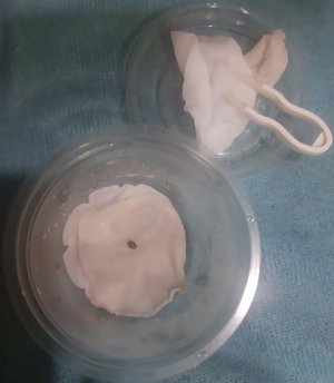 20230427_153651.jpg 20230427_153651.jpg