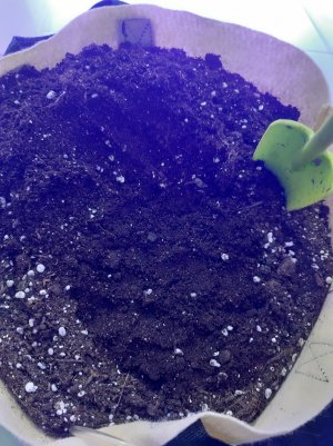 20230427_153719.jpg 20230427_153719.jpg