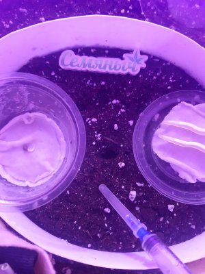 20230427_153628.jpg 20230427_153628.jpg