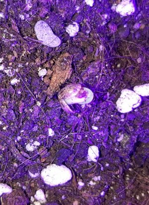 20230427_180906.jpg 20230427_180906.jpg