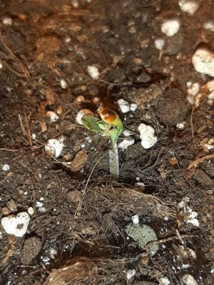 20230427_181439.jpg 20230427_181439.jpg