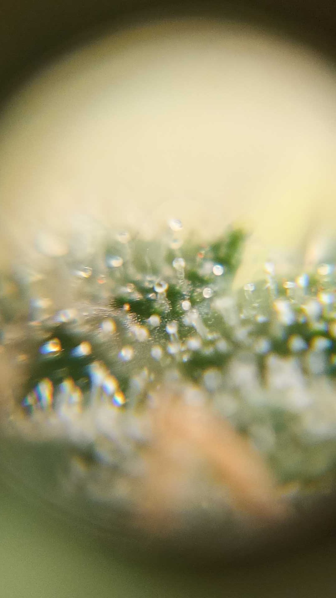 2023-4-27 20-38-39.jpg