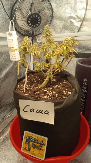 28.04.23 (1).jpg 28.04.23 (1).jpg